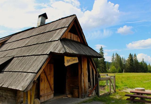 Apartament Bazatatry Swistak Zakopane Exterior foto
